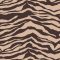 pattern5